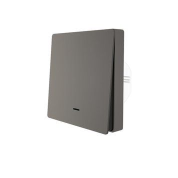 Выключатель ZigBee механический на одну линию серый Tuya (ZTS-EUB-G) F10099 фото