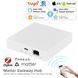 Шлюз-Хаб розумного будинку Zigbee Tuya Homekit Smartthings провідний (MZHUB) F10438 фото 3