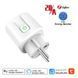 Розумна розетка ZigBee з енергомоніторингом Tuya 20A (F10012) F10012 фото 2