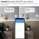 Умная розетка WiFi с энергомониторингом черная Tuya 16A (WK-EU-B) F10107 фото 6
