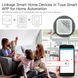 Датчик температури та вологості ZigBee з дисплеєм Tuya (F10024) F10024 фото 6