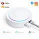 Шлюз Хаб умного дома HomeKit Tuya Zigbee проводной (F10362) F10362 фото 2