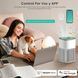 WIFI Воздухоочиститель озон генератор TUYA (F10070) 4945 фото 3