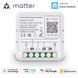 Реле Matter WiFi одноканальное 16А (F10466) F10466 фото 2