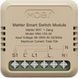 Реле Matter WiFi одноканальне 10А міні (WM-104-M) F10469 фото 1